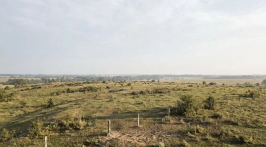 Aerial perspective of undeveloped rural land plot with visible boundaries and natural landscape showing investment potential
